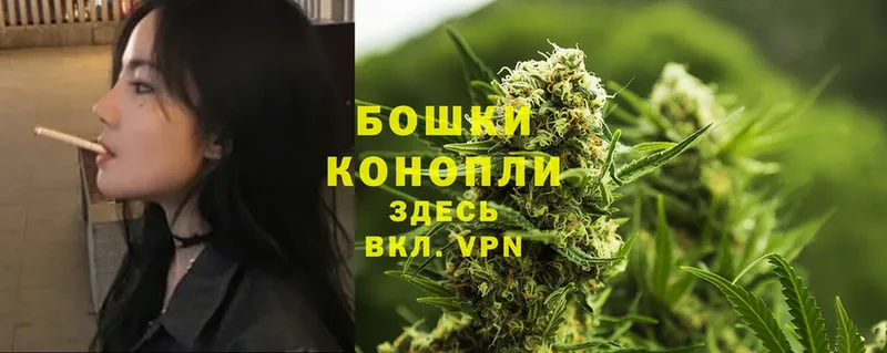 Бошки Шишки Ganja  как найти закладки  Новосибирск 